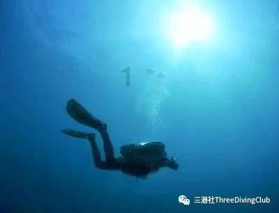 小猫钓鱼开船版最新版下载