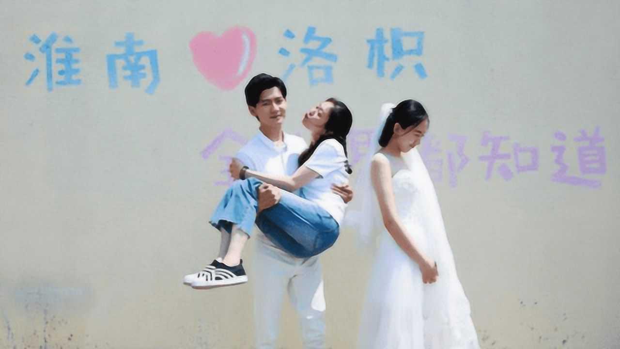 可爱的小考拉