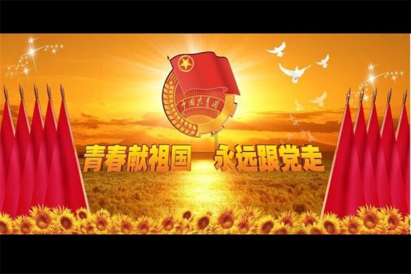救援袋鼬