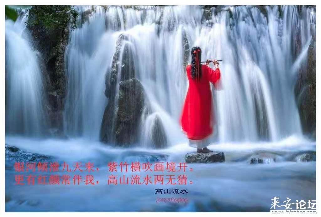 小猫钓鱼游戏龙王版有船