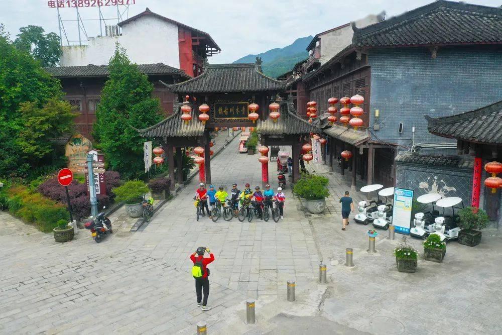 拯救蓝色小鸟